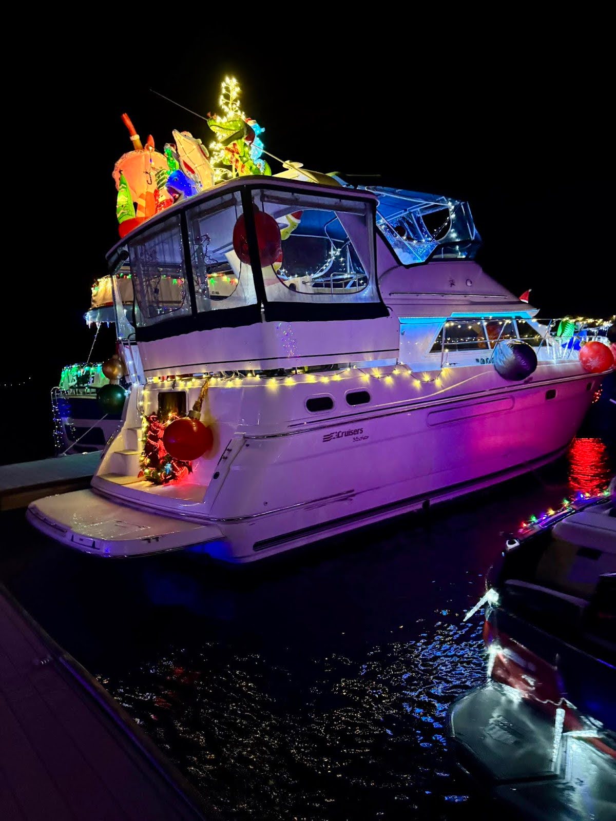 Bluff Creek Marina Annual Lighted Boat Parade